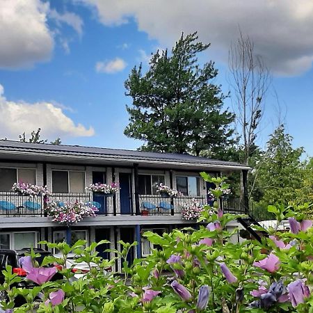 Blue Moon Motel Ниагара-Фолс Экстерьер фото