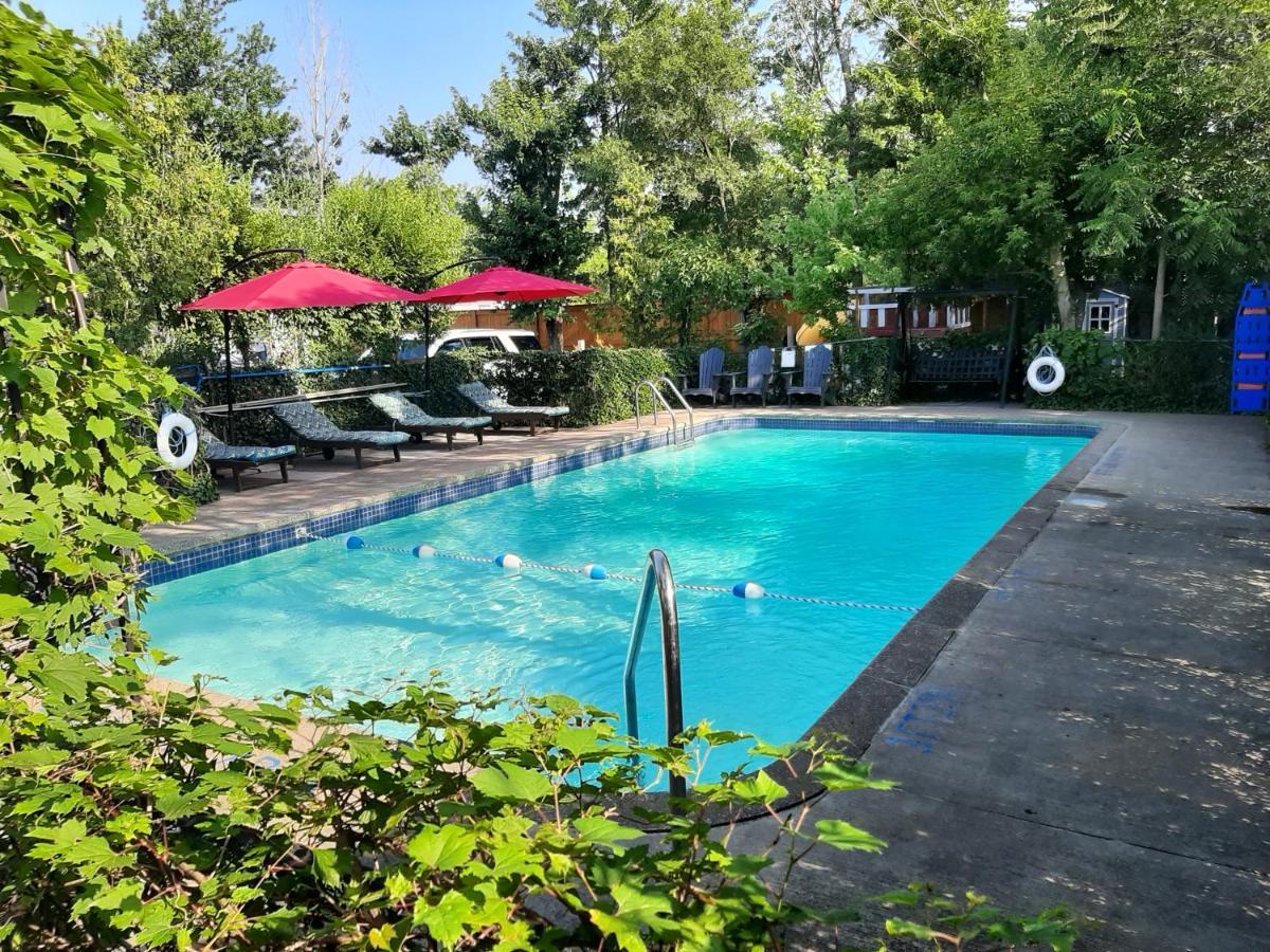 Blue Moon Motel Ниагара-Фолс Экстерьер фото