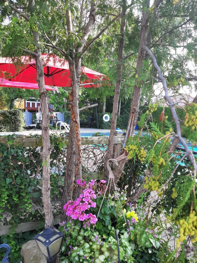 Blue Moon Motel Ниагара-Фолс Экстерьер фото