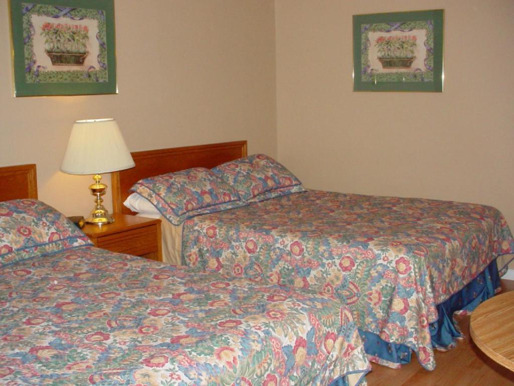 Blue Moon Motel Ниагара-Фолс Номер фото